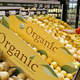 Image for article titled No, organic foods aren't more nutritious than other kinds